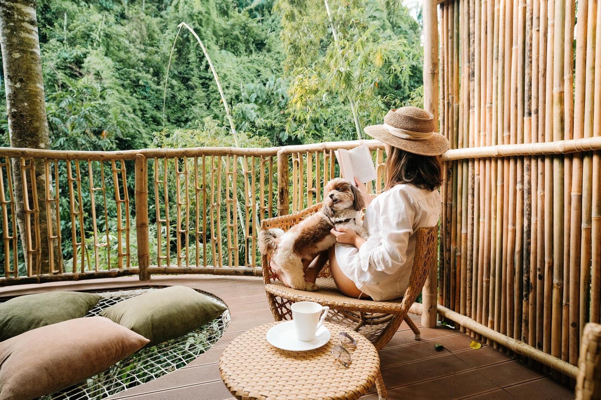 Balamban Treehouse De Valentine 빌라 외부 사진